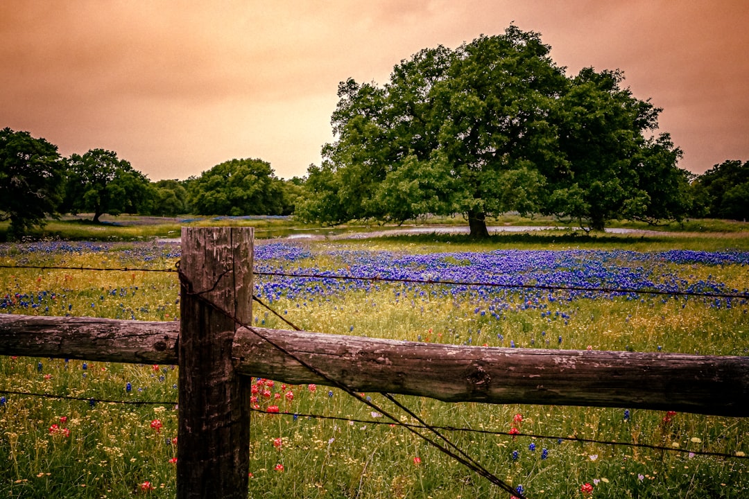 Beware of Land Survey Fraud — Texas real estate